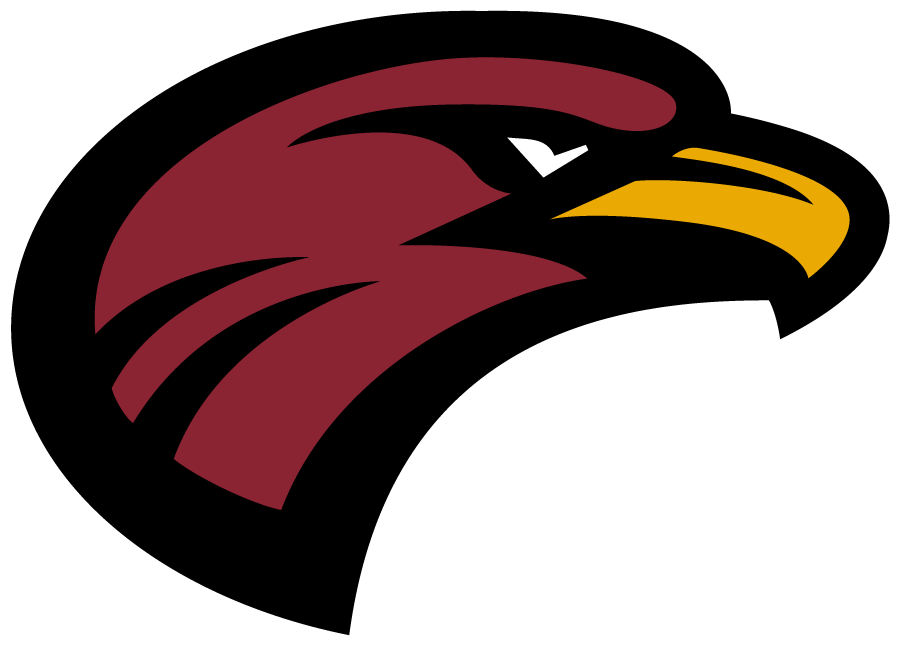 Louisiana-Monroe Warhawks 2018-Pres Secondary Logo diy DTF decal sticker